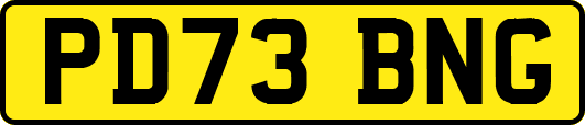 PD73BNG
