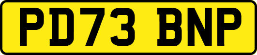 PD73BNP