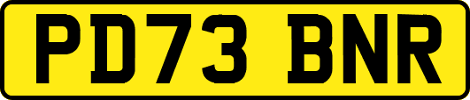 PD73BNR