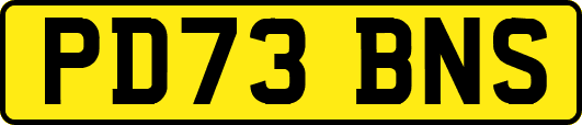 PD73BNS