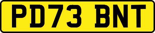 PD73BNT