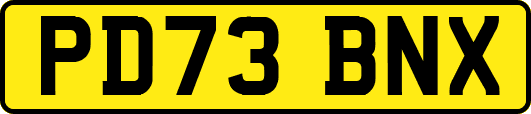 PD73BNX
