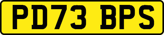 PD73BPS