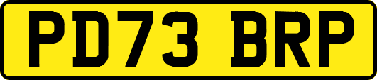 PD73BRP