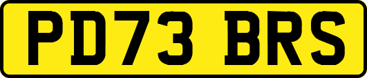 PD73BRS