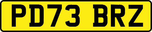 PD73BRZ