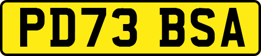PD73BSA