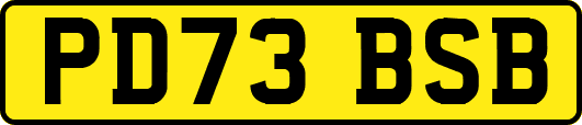 PD73BSB