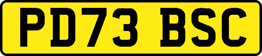 PD73BSC