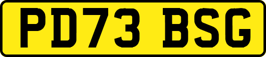 PD73BSG