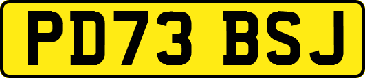 PD73BSJ