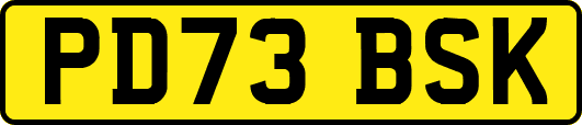PD73BSK