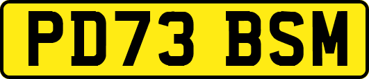 PD73BSM