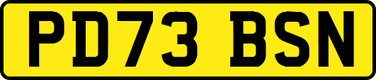 PD73BSN