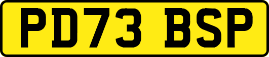 PD73BSP