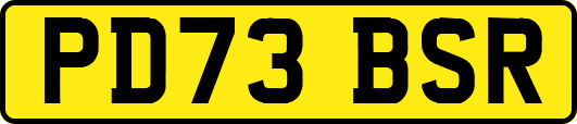 PD73BSR