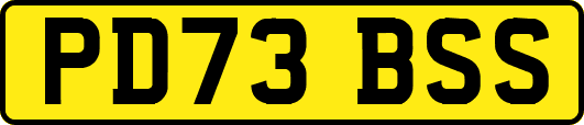 PD73BSS