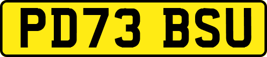 PD73BSU