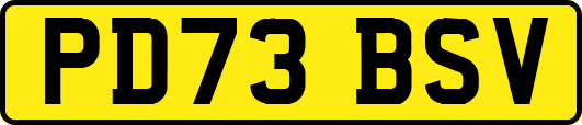 PD73BSV