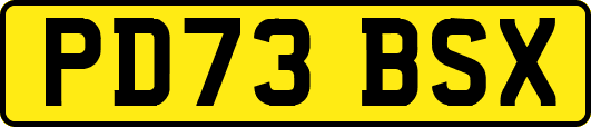 PD73BSX