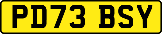 PD73BSY