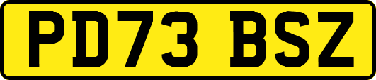 PD73BSZ
