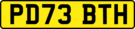 PD73BTH