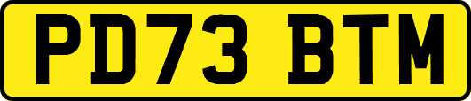PD73BTM
