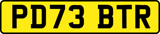 PD73BTR