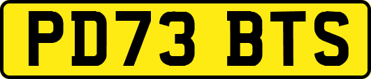 PD73BTS