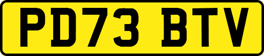 PD73BTV