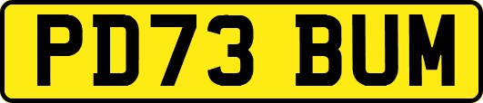 PD73BUM