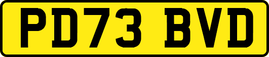 PD73BVD