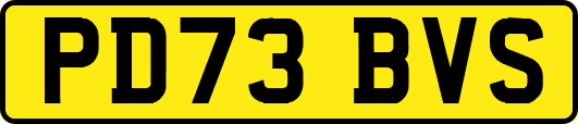 PD73BVS