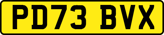 PD73BVX