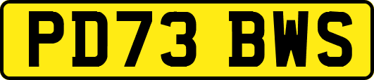 PD73BWS