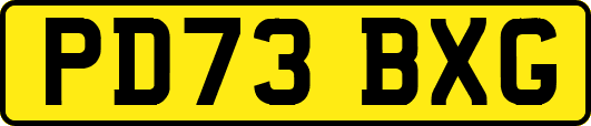 PD73BXG