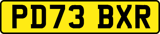 PD73BXR