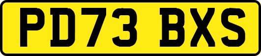 PD73BXS