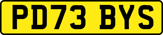 PD73BYS