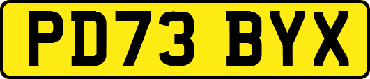 PD73BYX