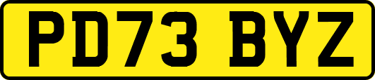 PD73BYZ