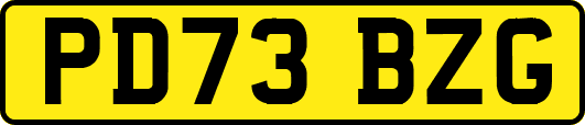 PD73BZG