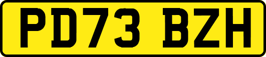 PD73BZH