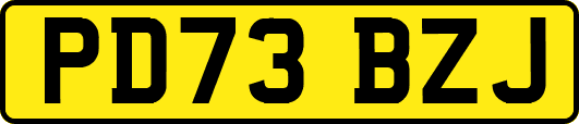 PD73BZJ