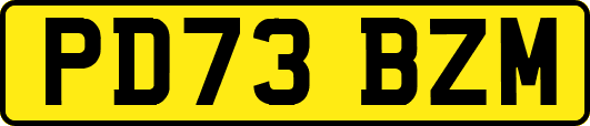 PD73BZM
