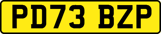 PD73BZP