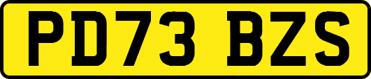 PD73BZS