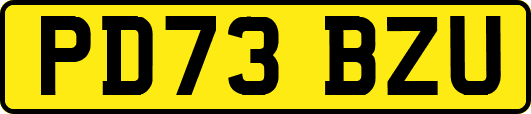 PD73BZU