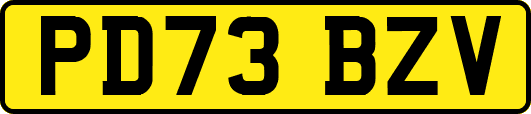 PD73BZV